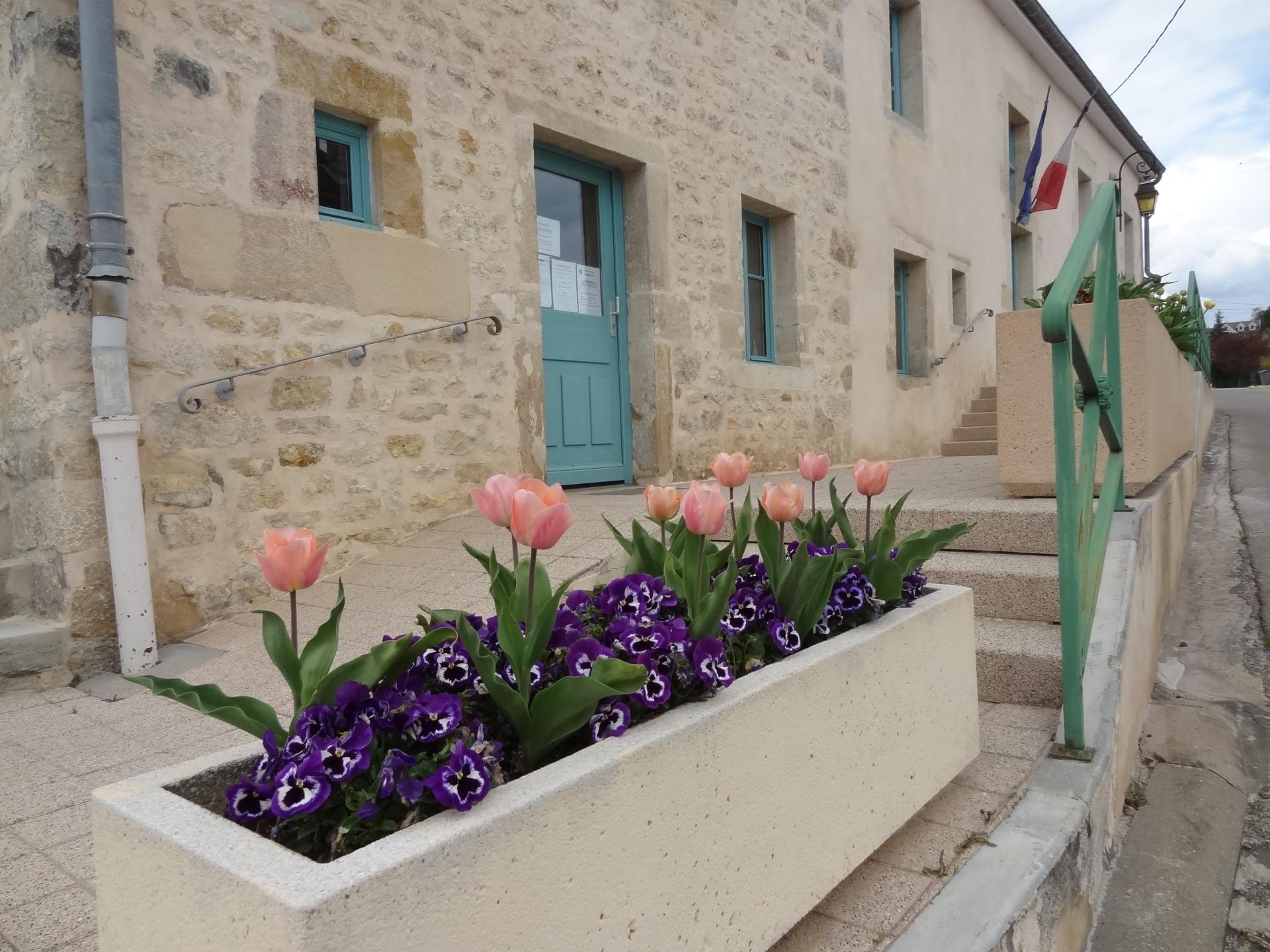 Fleurissement rue Belleneuve